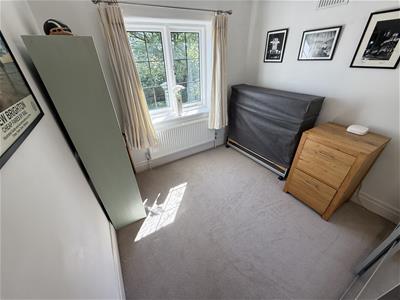 Picture 28